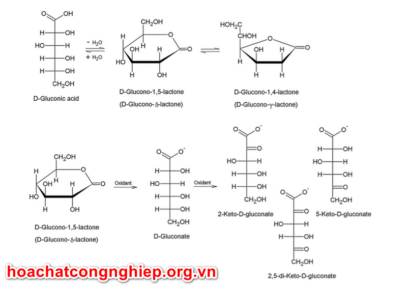 Phương pháp hóa học điều chế axit gluconic